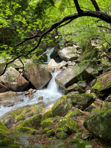 天目山温泉竜門峡